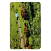 Yellowstone Magnet (Vertikal)