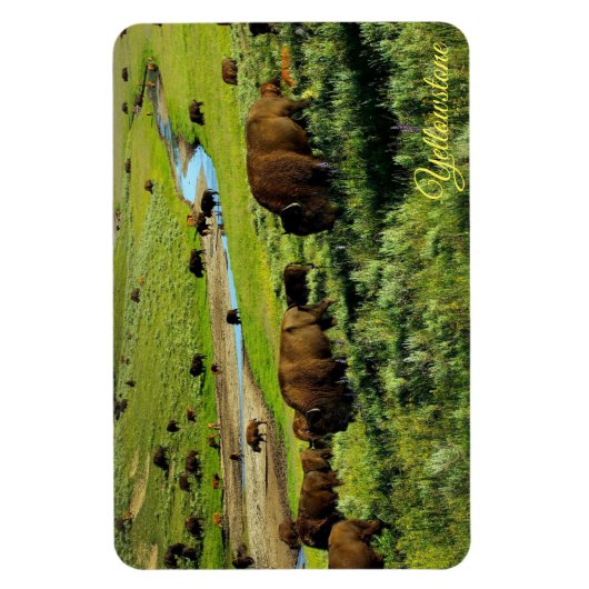 Yellowstone Magnet (Vertikal)