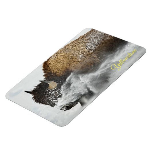 Yellowstone Magnet (Linke Seite)