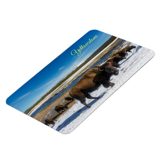 Yellowstone Magnet (Linke Seite)