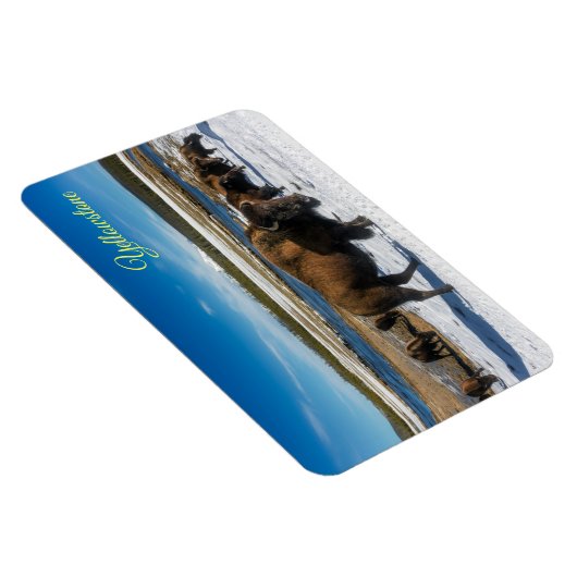 Yellowstone Magnet (Rechte Seite)