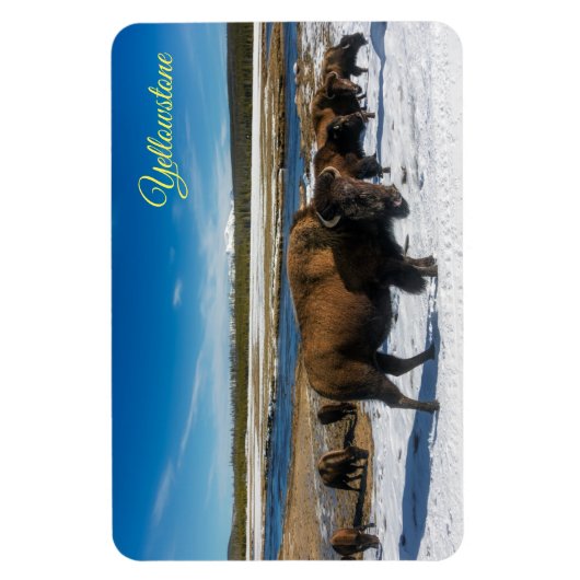 Yellowstone Magnet (Vertikal)