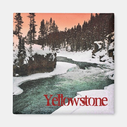 Yellowstone Magnet (Vorne)