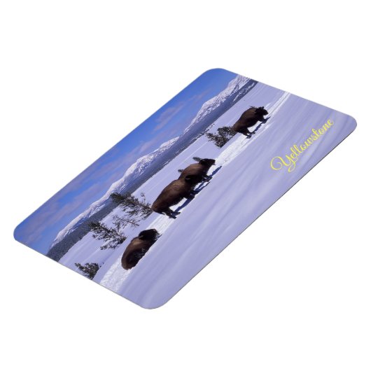 Yellowstone Magnet (Linke Seite)