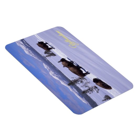 Yellowstone Magnet (Rechte Seite)