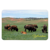 Yellowstone Magnet (Horizontal)