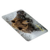 Yellowstone Magnet-Bär Magnet (Rechte Seite)