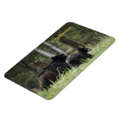 Yellowstone Magnet-Black Bär Magnet (Linke Seite)