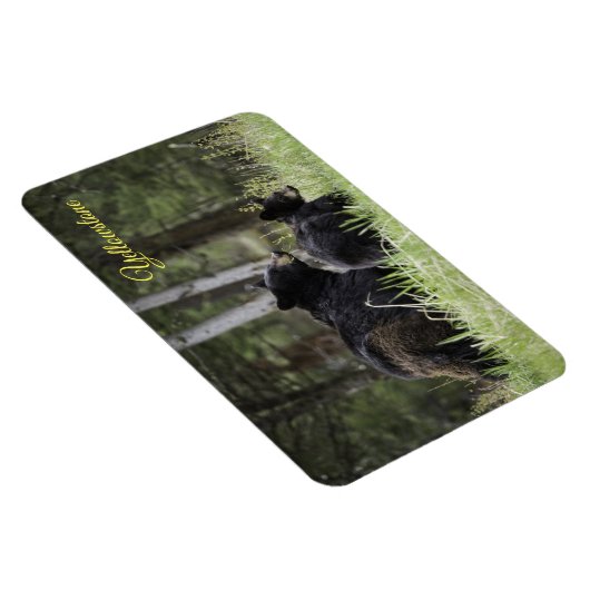 Yellowstone Magnet-Black Bär Magnet (Rechte Seite)