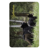 Yellowstone Magnet-Black Bär Magnet (Vertikal)