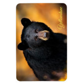 Yellowstone Magnet-Black Bär Magnet (Vertikal)