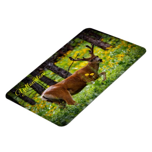 Yellowstone Magnet-Deer Magnet (Linke Seite)