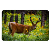 Yellowstone Magnet-Deer Magnet (Horizontal)