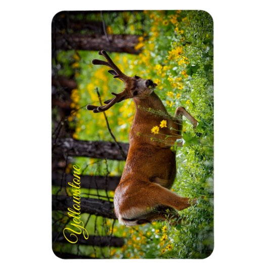 Yellowstone Magnet-Deer Magnet (Vertikal)