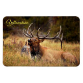 Yellowstone Magnet-Elk Magnet (Horizontal)