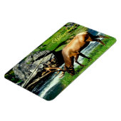 Yellowstone Magnet-Elk Magnet (Linke Seite)