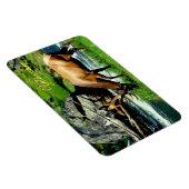 Yellowstone Magnet-Elk Magnet (Rechte Seite)