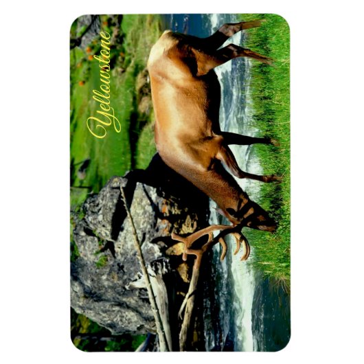 Yellowstone Magnet-Elk Magnet (Vertikal)