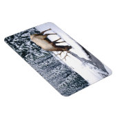 Yellowstone Magnet-Elk Magnet (Rechte Seite)