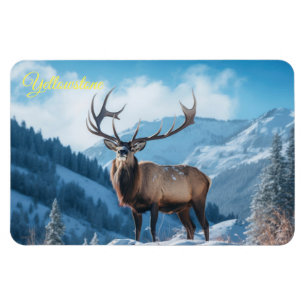 Yellowstone Magnet-Elk Magnet