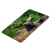 Yellowstone Magnet-Moose Magnet (Linke Seite)