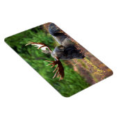 Yellowstone Magnet-Moose Magnet (Rechte Seite)