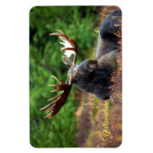 Yellowstone Magnet-Moose Magnet (Vertikal)
