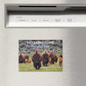 Yellowstone Magnet Nationalpark Bison Büffel (In Situ (Geschirrspüler))