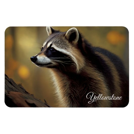 Yellowstone Magnet-Raccoon Magnet (Horizontal)
