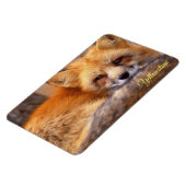 Yellowstone Magnet-Red Fox Magnet (Linke Seite)
