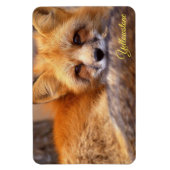 Yellowstone Magnet-Red Fox Magnet (Vertikal)