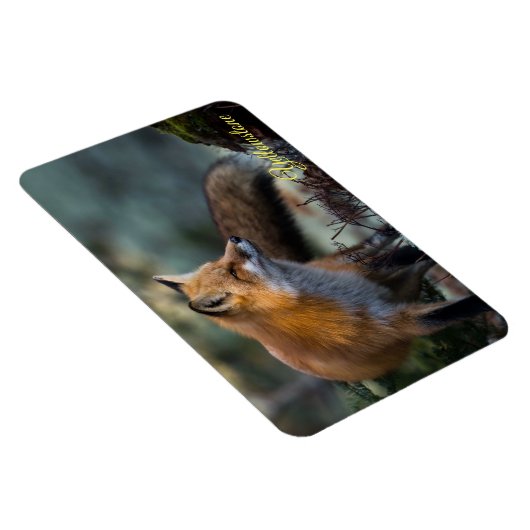 Yellowstone Magnet-Red Fox Magnet (Rechte Seite)