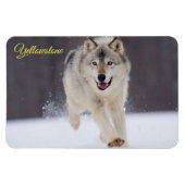 Yellowstone Magnet-Wolf Magnet (Horizontal)