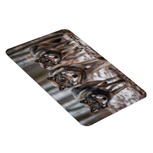 Yellowstone Magnet-Wölfe Magnet (Rechte Seite)