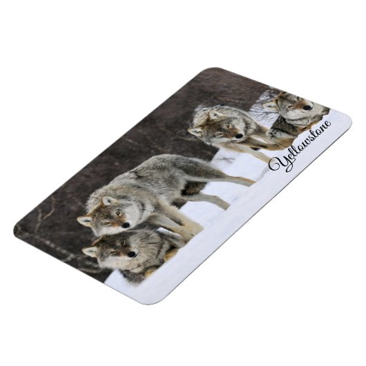 Yellowstone Magnet-Wölfe Magnet (Linke Seite)