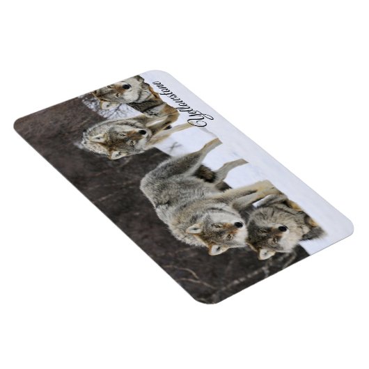 Yellowstone Magnet-Wölfe Magnet (Rechte Seite)