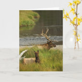 Yellowstone Mate Card Karte (Gelbe Blume)