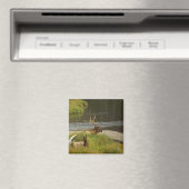 Yellowstone Mates Magnet (In Situ (Geschirrspüler))