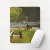 Yellowstone Mates Mousepad (Mit Mouse)