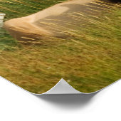 Yellowstone Mütter drucken Poster (Ecke)