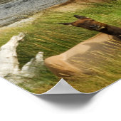 Yellowstone Mütter drucken Poster (Ecke)