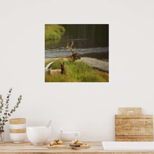 Yellowstone Mütter drucken Poster (Küche)