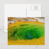 Yellowstone - Nachmittagsruhmpool Postkarte (Vorne/Hinten)