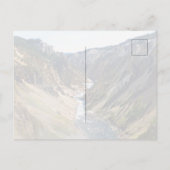 Yellowstone National Park Bison Postkarte (Rückseite)