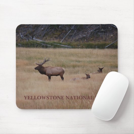 YELLOWSTONE NATIONAL PARK MOUSEPAD (Mit Mouse)