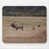 YELLOWSTONE NATIONAL PARK MOUSEPAD (Vorne)