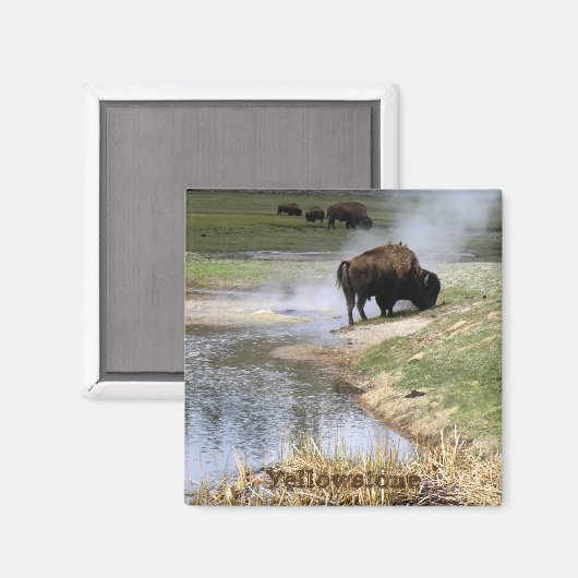 Yellowstone National Park Square Magnet (Vorderseite/Rückseite)
