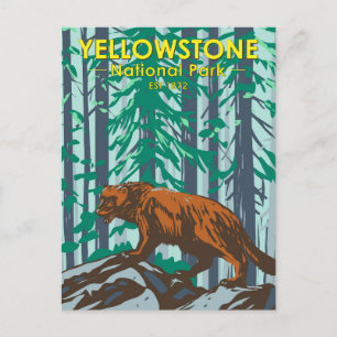 Yellowstone National Park Vielfraß Vintage Postkarte