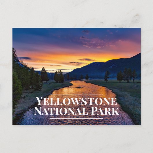 Yellowstone Nationalpark Andenken-Postkarte Postkarte (Vorderseite)