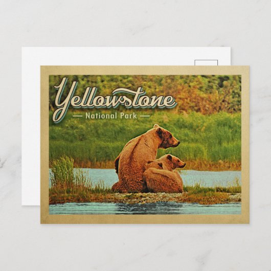 Yellowstone Nationalpark Bears Vintag Postkarte (Vorne/Hinten)